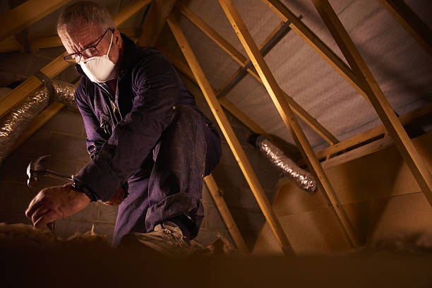  Scanlon, MN Insulation Contractor Pros